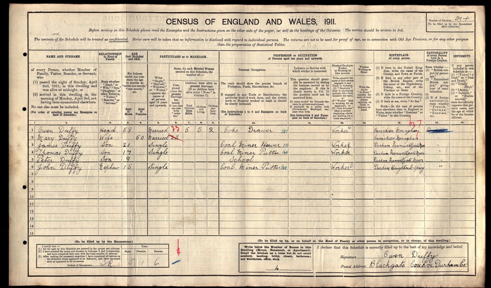 1911 census.jpg