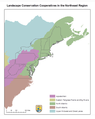 extending the northeast terrestrial habitat map to atlantic canada