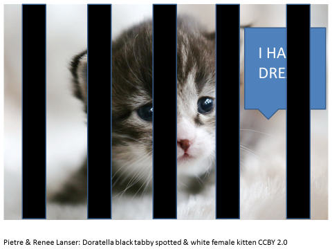 kitten behind bars with speech bubble: \'i have a dream\'