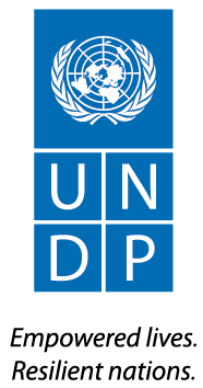 undp logo