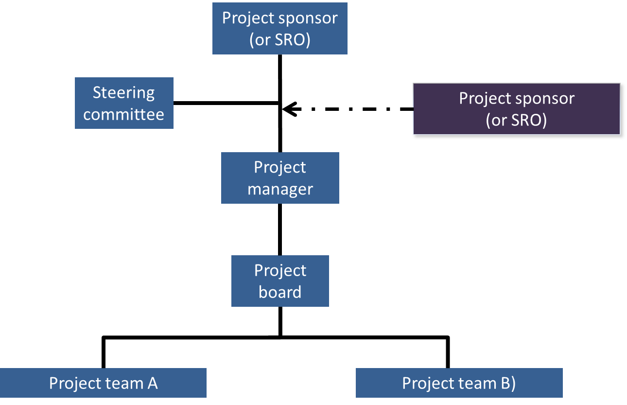 head of the organisational structure sits the project sponsor (or sro), then the sterring committee, next is the project manager who consults with the project board who then assigns tasks to project teams a & b.