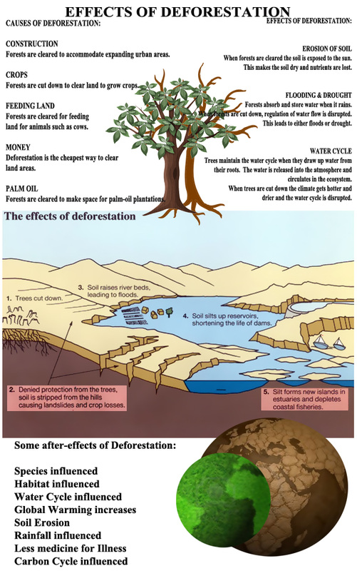 http://modern-dayplaguedeforestation.weebly.com/uploads/8/0/4/1/8041038/3587421_orig.jpg