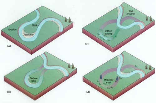 http://coolgeography.co.uk/a-level/aqa/year%2012/rivers,%20floods/landforms/oxbow1.jpg