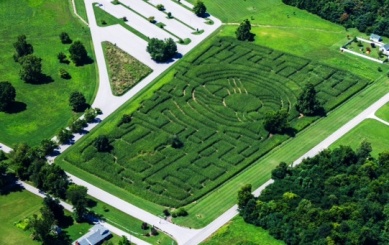 http://www.angelmounds.org/wp-content/uploads/2013/08/corn-maze-aerial-2.jpg