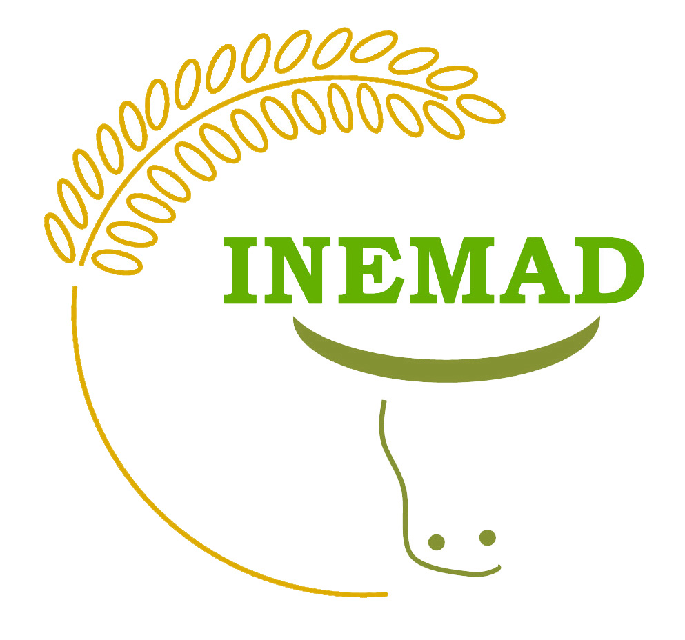 logo inemad contrast.jpg