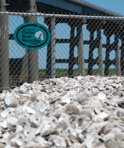 http://www.ncports.com/elements/media/images/oyster-shells.jpg
