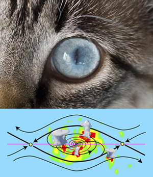 cat\'s eye pattern in tropical cyclogenesis