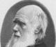 http://cdn.ientry.com/sites/famousdead/pictures/charles-robert-darwin-archive.jpg