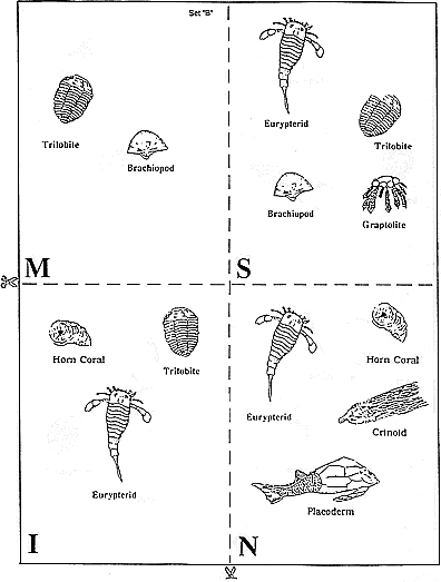 figure 2d