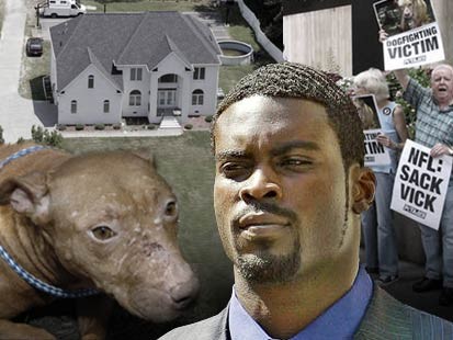 http://imgs.sfgate.com/blogs/images/sfgate/ontheblock/2011/06/30/vick.jpg