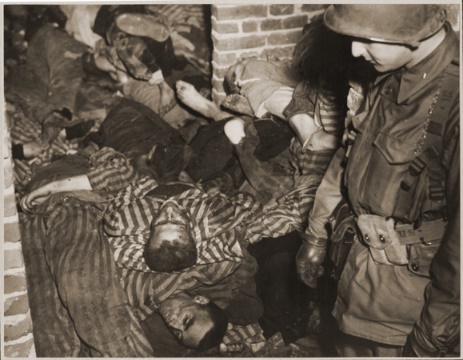 an american soldier views the bodies of prisoners piled on top of one another in the doorway of a barracks in wöbbelin. germany, may 4-5, 1945.