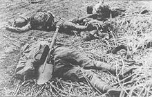 https://upload.wikimedia.org/wikipedia/commons/thumb/0/0b/guadedsonridgedeadjapanesesoldiers.jpg/220px-guadedsonridgedeadjapanesesoldiers.jpg