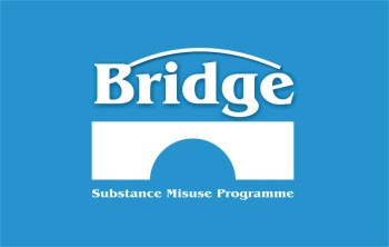 new bridge logo2