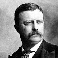 http://libertylawsite.org/wp-content/uploads/2012/03/teddy-roosevelt.jpg