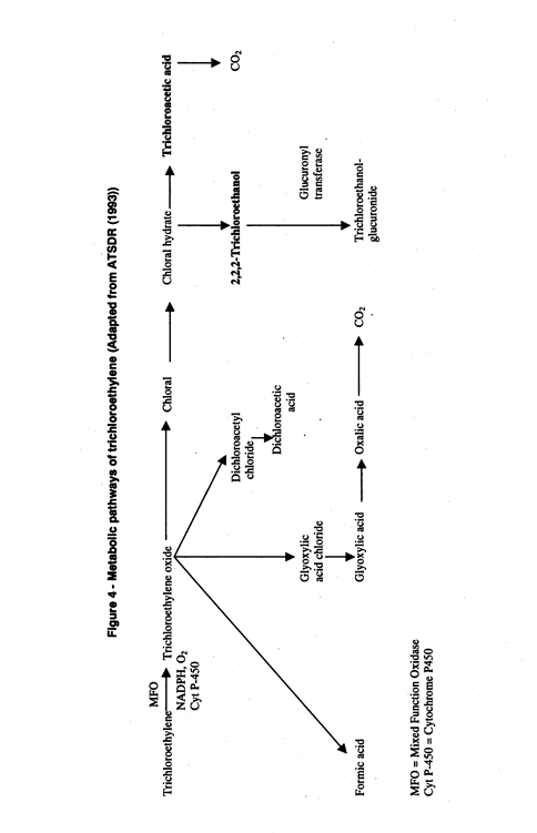 figure 4 - metabolic pathways