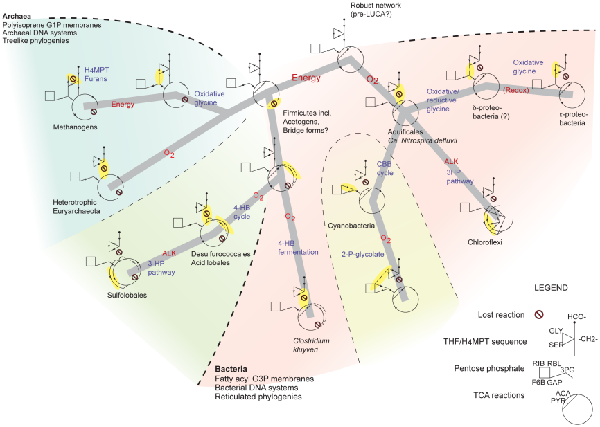 http://www.ploscompbiol.org/article/fetchobject.action?uri=info%3adoi%2f10.1371%2fjournal.pcbi.1002455.g005&representation=png_l