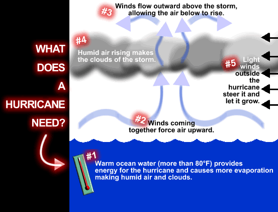 hurricane formation