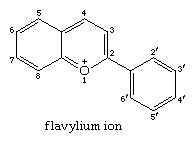 flavylium cation