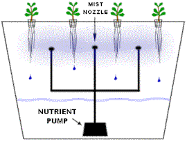 aeroponics.gif (11329 bytes)