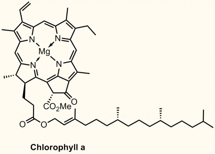 http://brsmblog.com/wp-content/uploads/2011/12/0-chlorophyll-a-1024x735.jpg