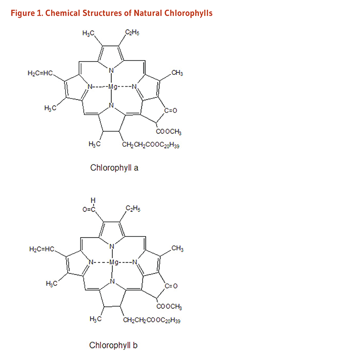 chlorophyllchlorophyllin_figure1_v2