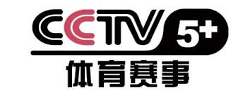 cctv logo