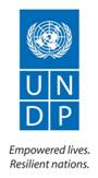 undp logo.jpg