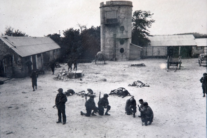 june 6, 1944: us army troops make a battle plan in a farmyard amid cattle, killed by artillery bursts, near the d-day landing zone of utah beach in les dunes de varreville, france