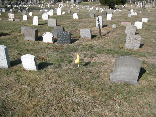 unmarked civil war vets’ plots are marked with little yellow flags, thanks to a rule change that bars non-relatives from obtaining tombstones.