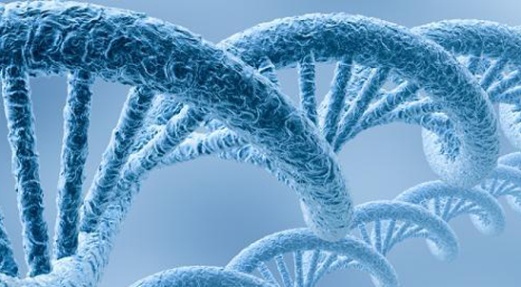 blue-dna-istock_000005649360small-step-32