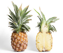 http://upload.wikimedia.org/wikipedia/commons/thumb/c/cb/pineapple_and_cross_section.jpg/220px-pineapple_and_cross_section.jpg