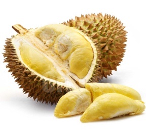 http://2.bp.blogspot.com/-co9zwpjdpqi/t7bpoiztv4i/aaaaaaaaah0/myt9lk60ifk/s1600/durian.jpg