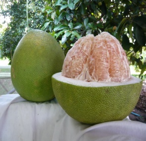 http://www.jewmalt.com/wp-content/uploads/2010/07/pomelo1.jpg