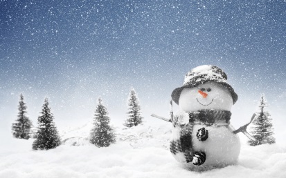 http://www.slashdiabetes.com/wp-content/uploads/winter-snowman-1.jpg