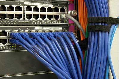 http://computernetworkingnotes.com/images/n_plus_certifications/iamge/network_switch.jpg