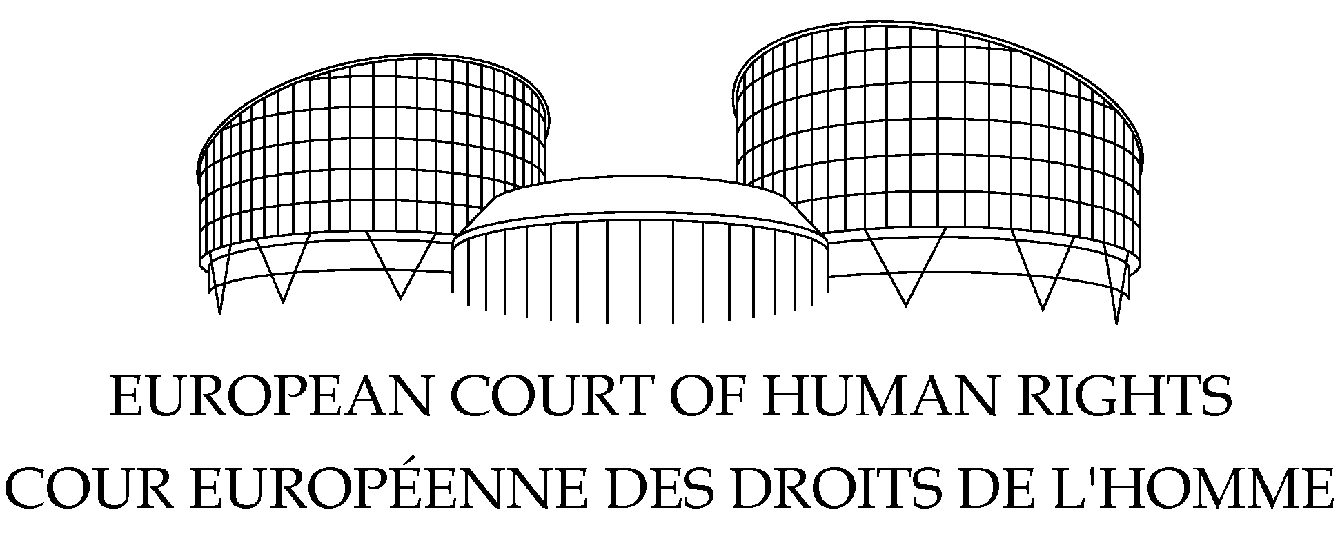 r:\1_graphics&web\court_graphic_charter\2013\echr_stationery\documents_and_letters\cover_pages_and_docs\white_600_dpi\echr_coverpagecs61_echr_coverpage_header_black.png