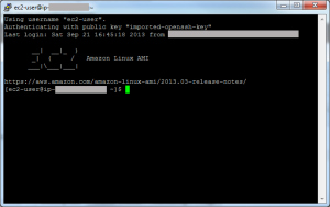 logged into linux instance via ssh