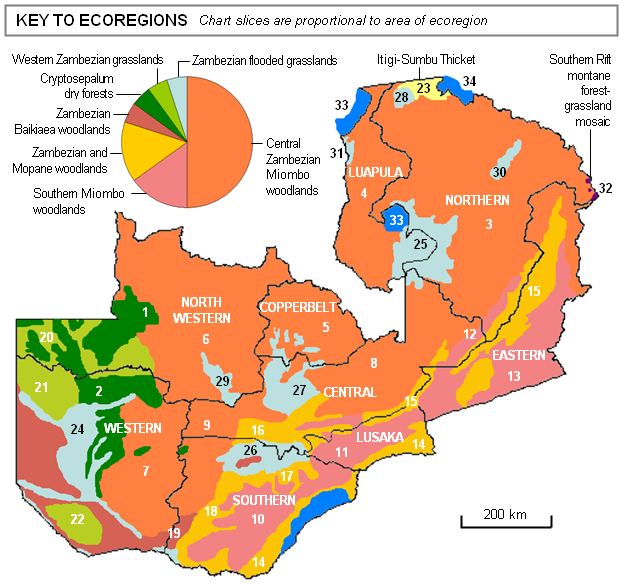 zambiaecozonesdec11