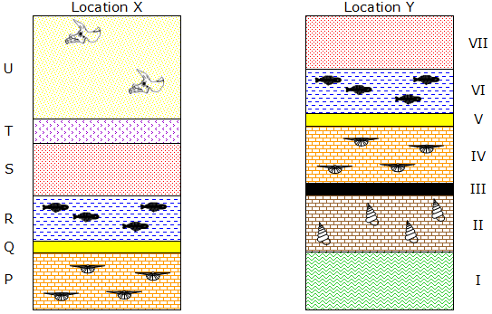 https://app153.studyisland.com/pics/110218fossilcorrelation.png