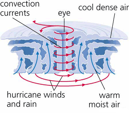 http://www.coolgeography.co.uk/gcse/year11/managing%20hazards/tropical%20storms/hurricane-diagram.gif