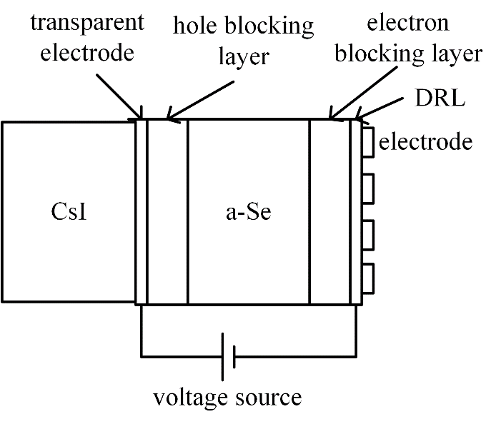 fig1