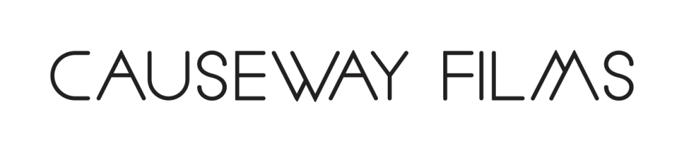 ::::causeway logo haly:causeway-black logo_clear space.ai