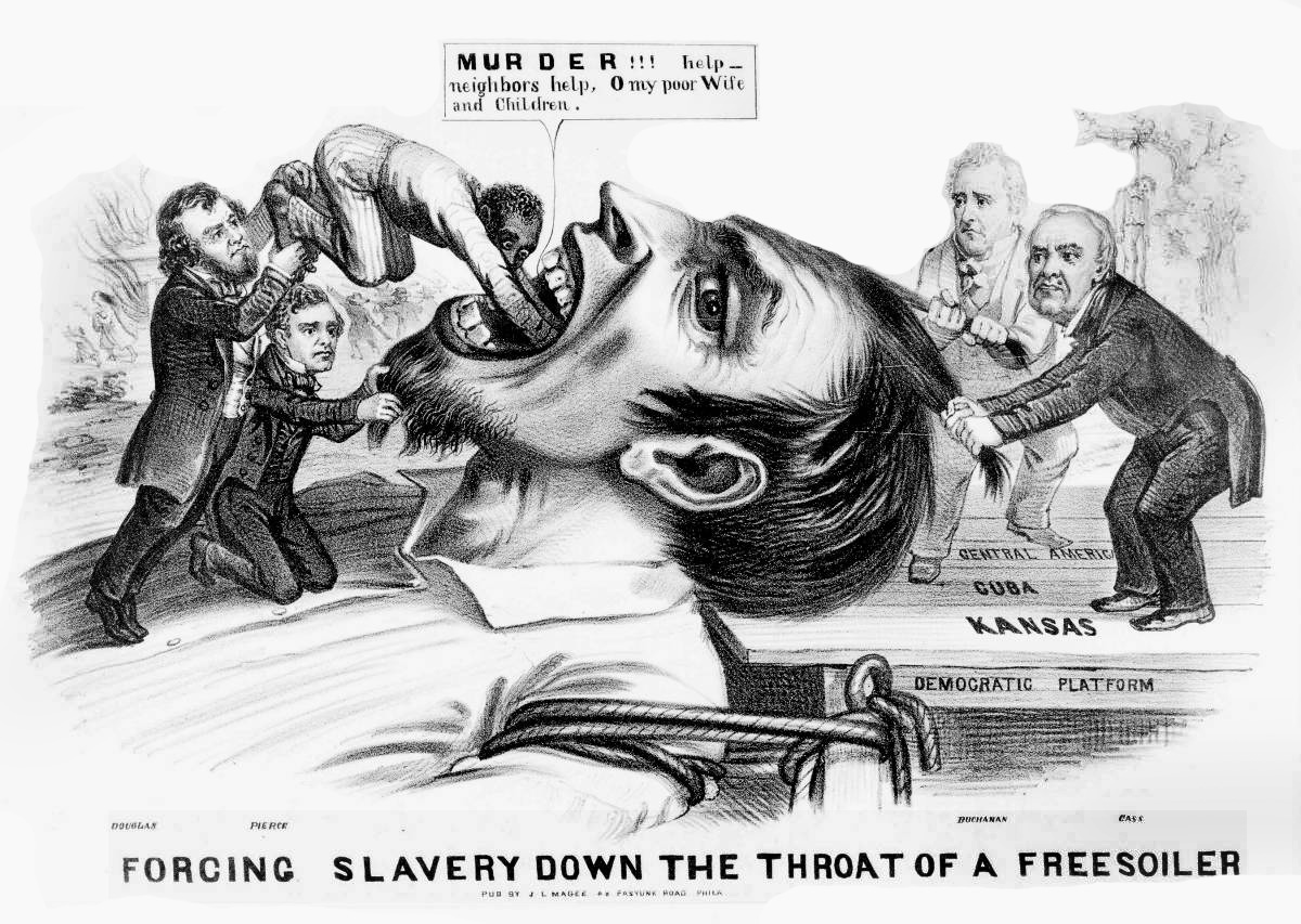 http://www.latinamericanstudies.org/slavery/slavery_free_soiler_cartoon.jpg