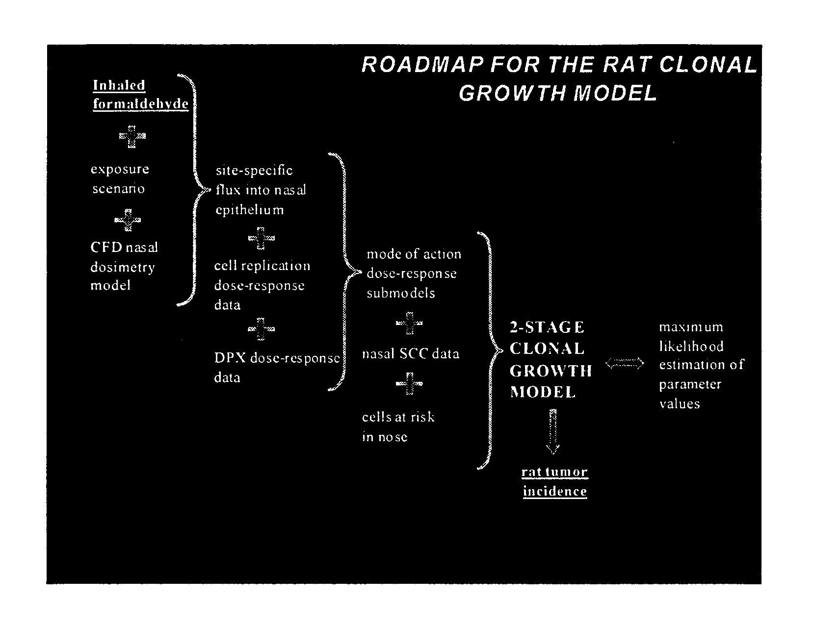 figure a9-2: roadmap for the rat clonal model (reproduced from ciit, 1999) cfd=computational fluid dynamics; dpx=dna-protein crosslinking; scc= squamous cell carcinoma 