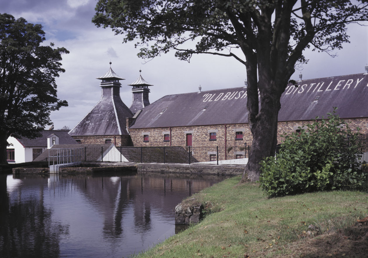 http://www.dalriadacottage.co.uk/bushmills/1.jpg