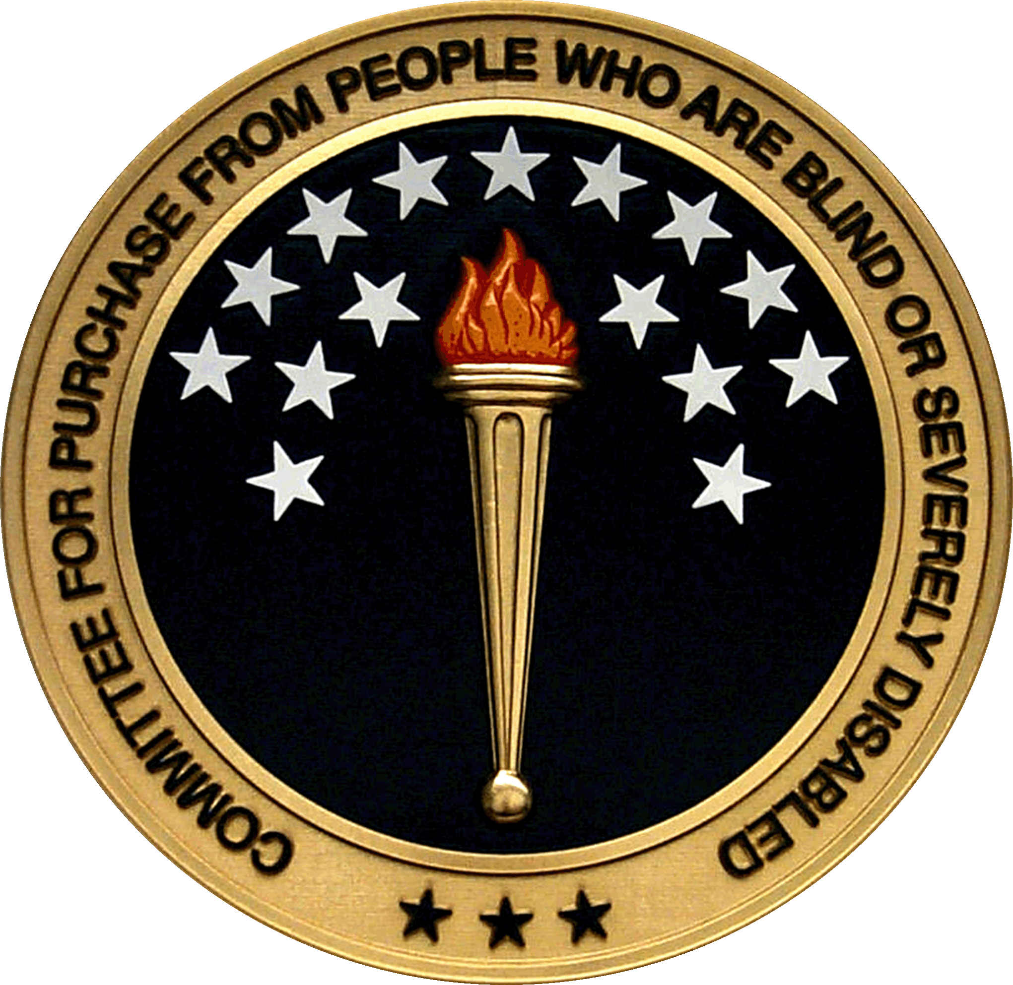 committee seal torch with 15 stars on a blue backgroun