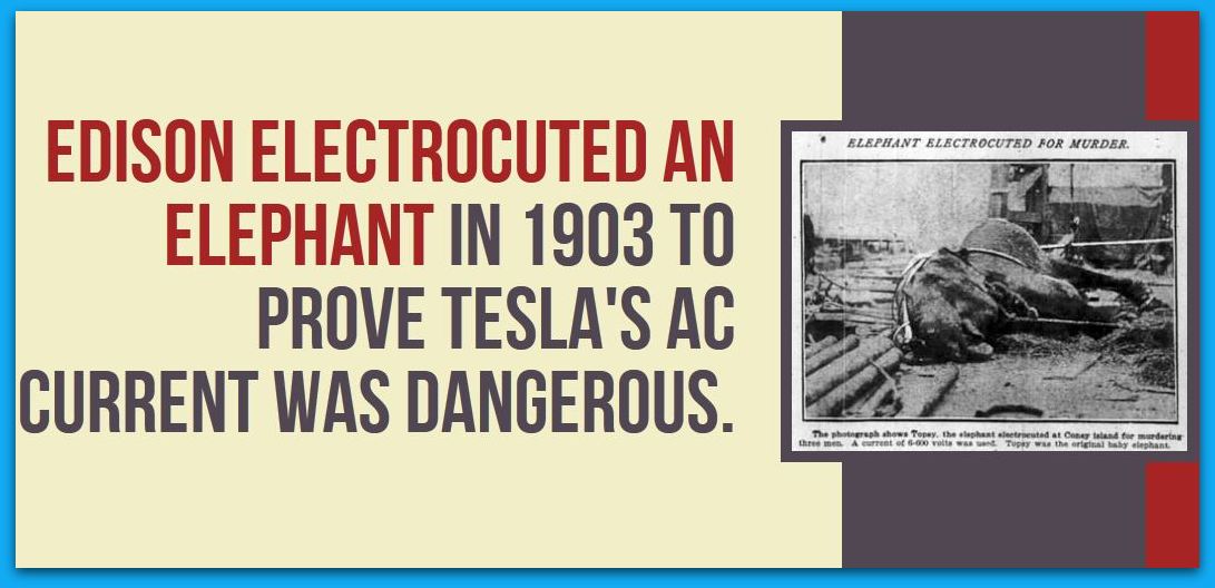http://www.factrange.com/wp-content/uploads/2014/01/edison-electrocuted-an-elephant-in-1903-to-prove-ac-current-was-dangerous.jpg