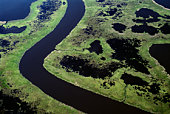 usa, maryland, blackwater national wildlife refuge, aerial view