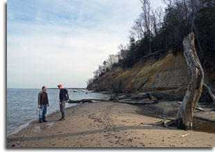 visitors on the beach at calvert cliffs state park