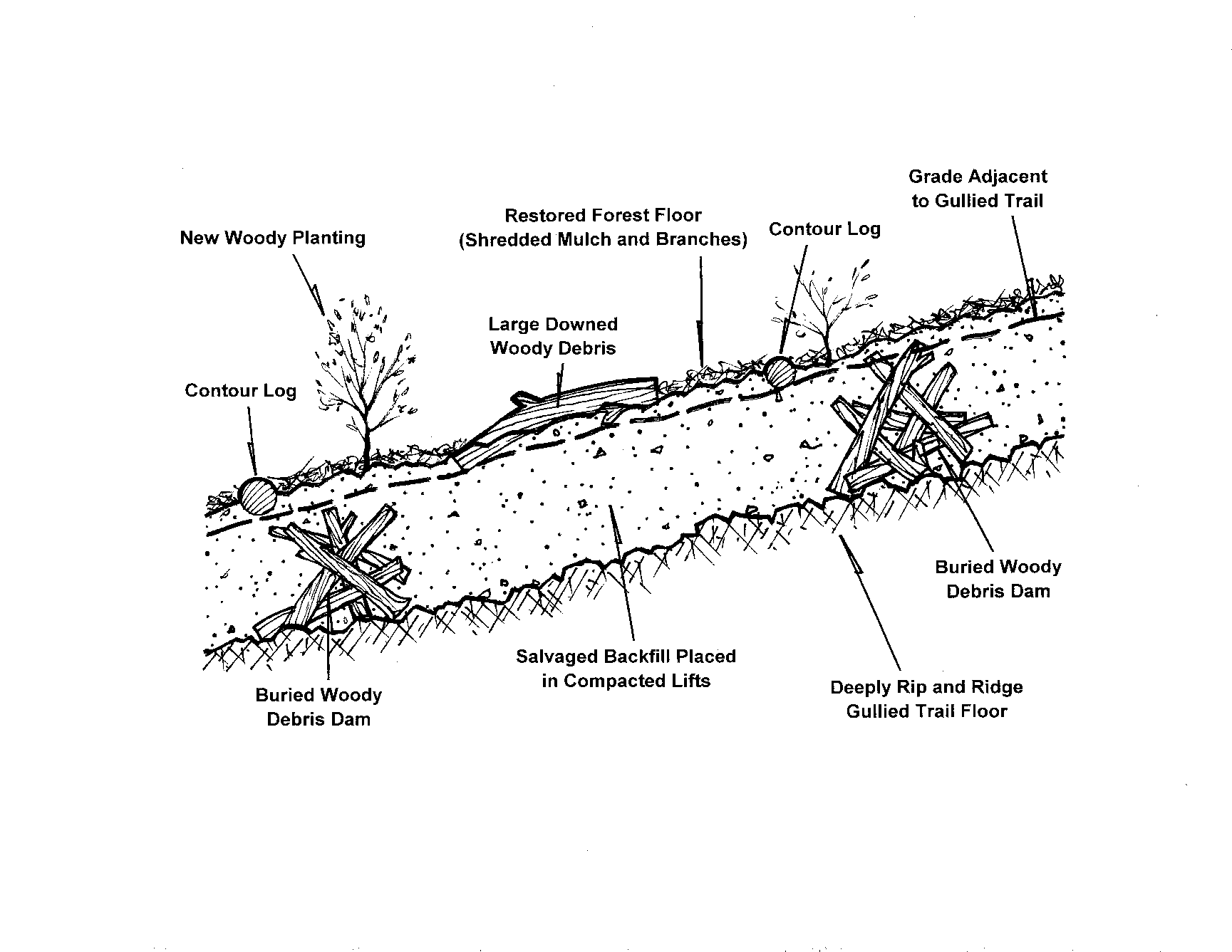 fig 2 - gullied trail obliteration